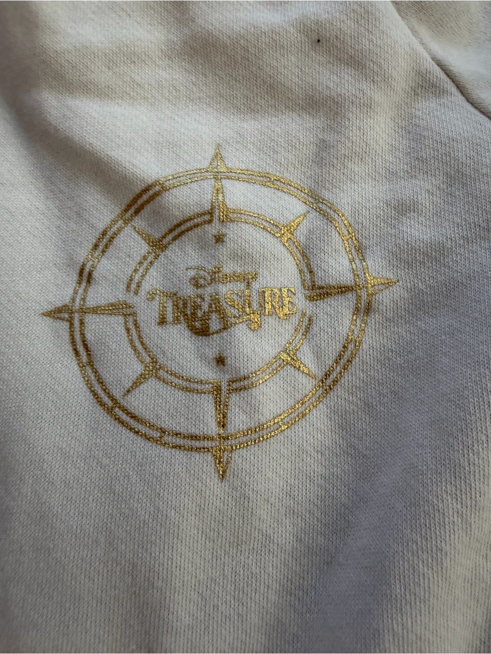 Disney Cruise Line Treasure Zip Hoodie - Picture 2 of 4